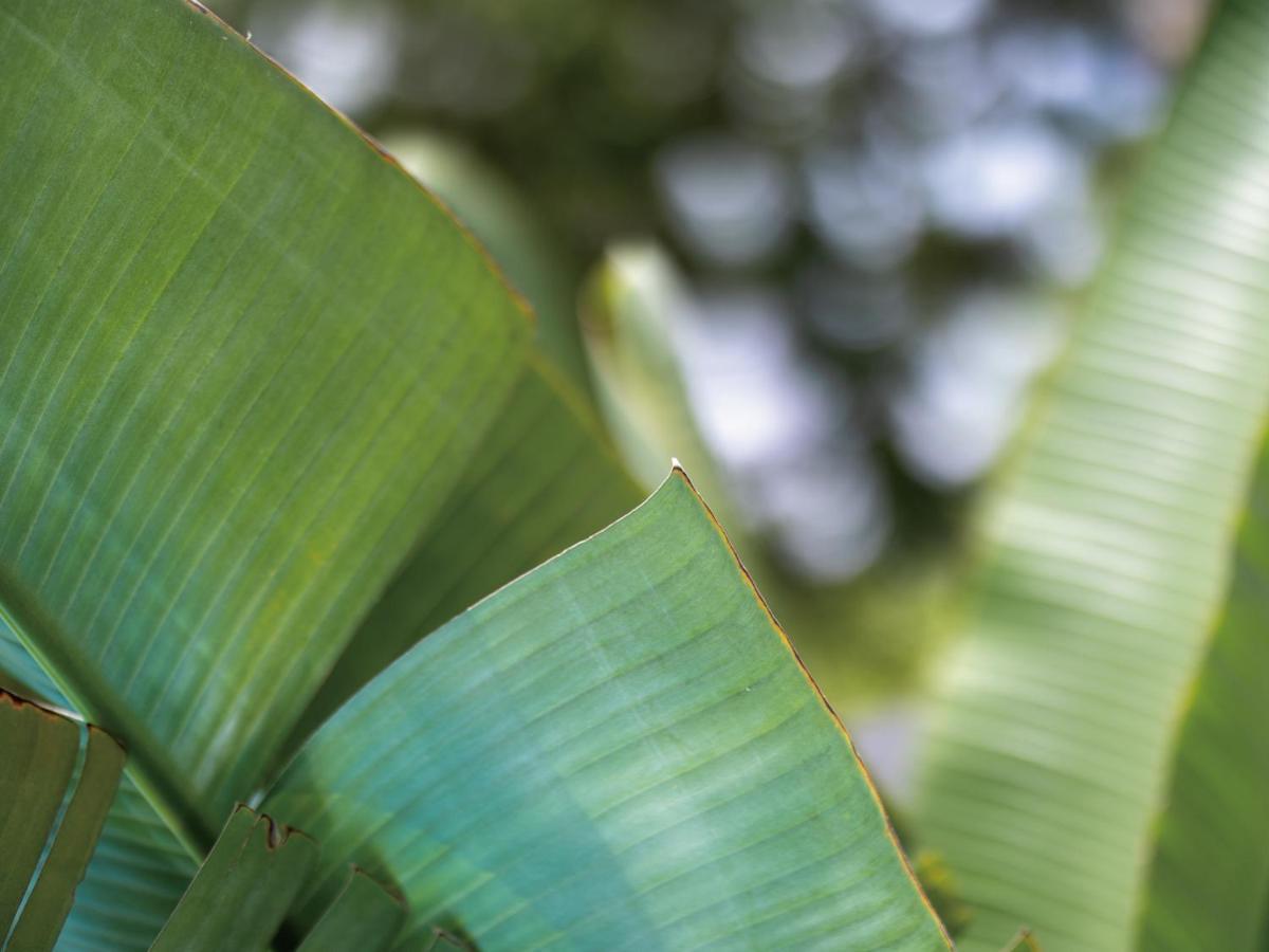 Homm Stay Yumiha Okinawa By Banyan Tree Group Онна Экстерьер фото