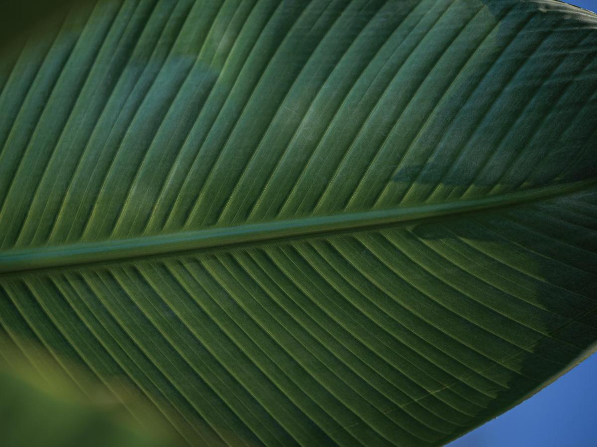 Homm Stay Yumiha Okinawa By Banyan Tree Group Онна Экстерьер фото